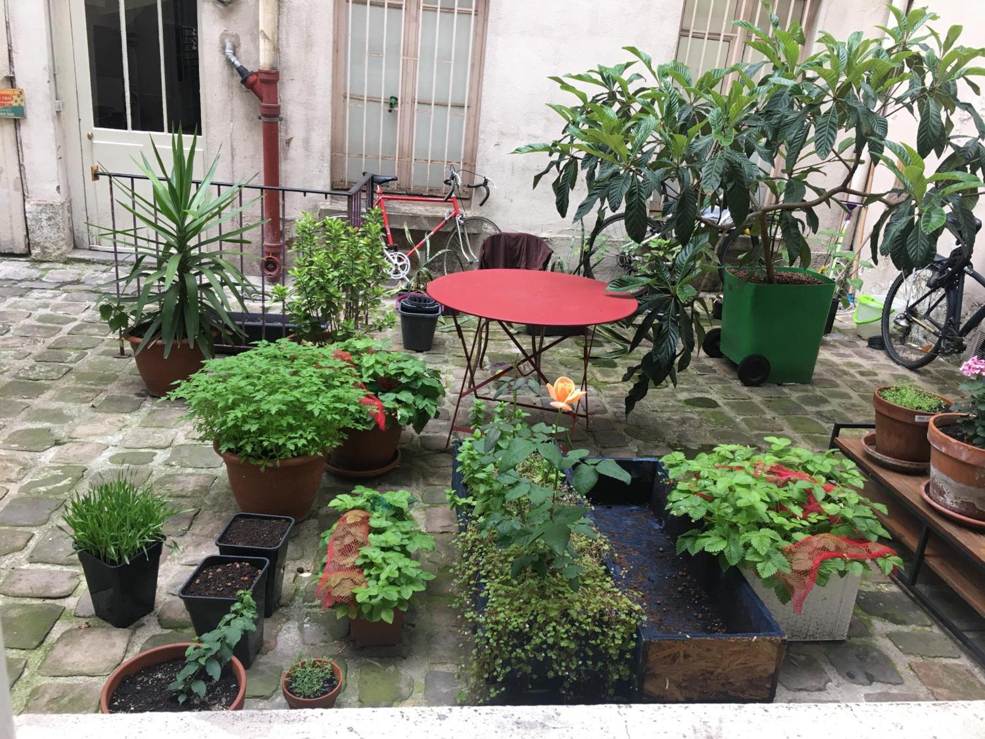 A Bastille Homestay